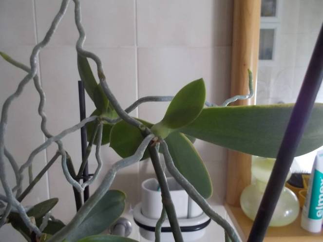 dscn5261-fileminimizer