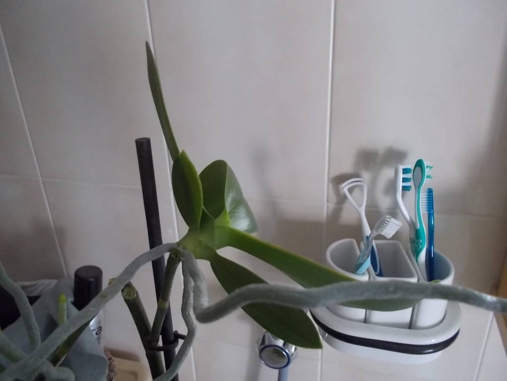 dscn5262-fileminimizer