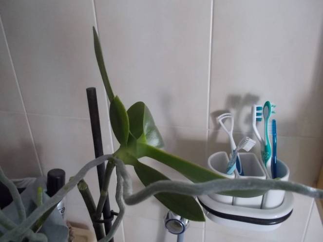 dscn5262-fileminimizer