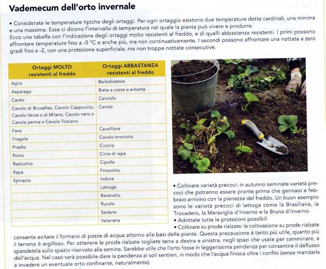 orto-invernale3502