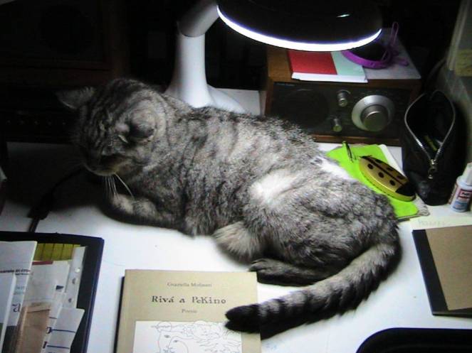 img_8076-fileminimizer