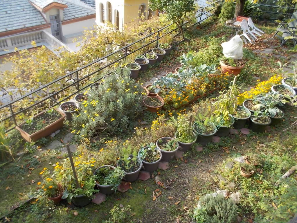 dscn5575-fileminimizer