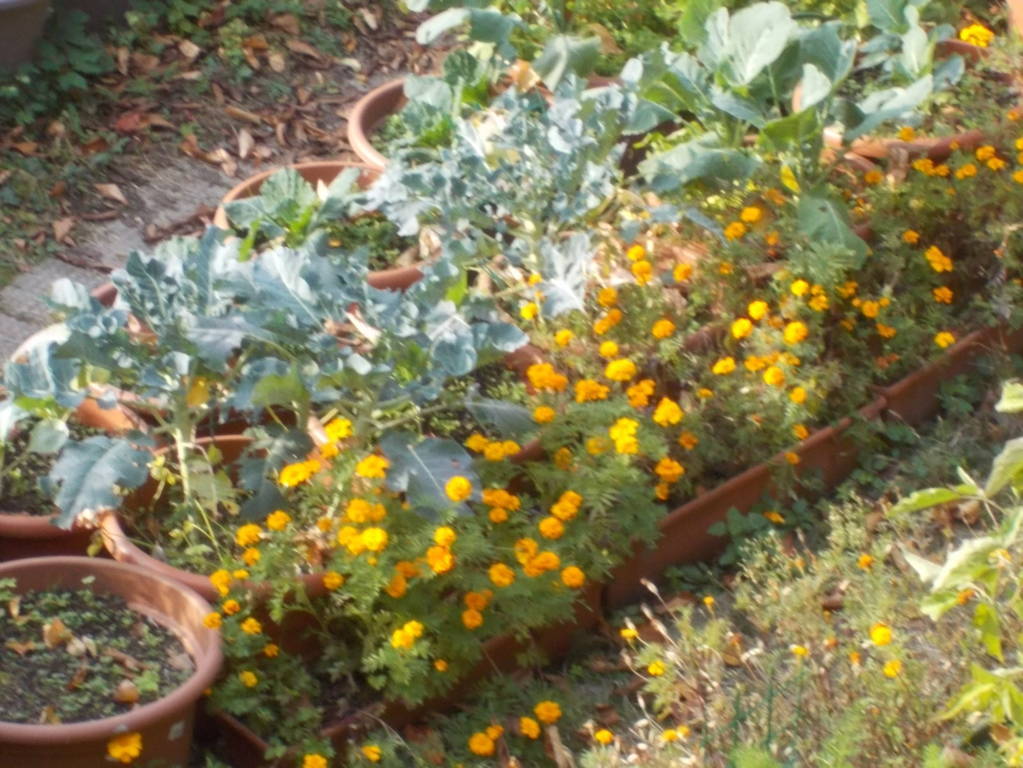 dscn5577-fileminimizer