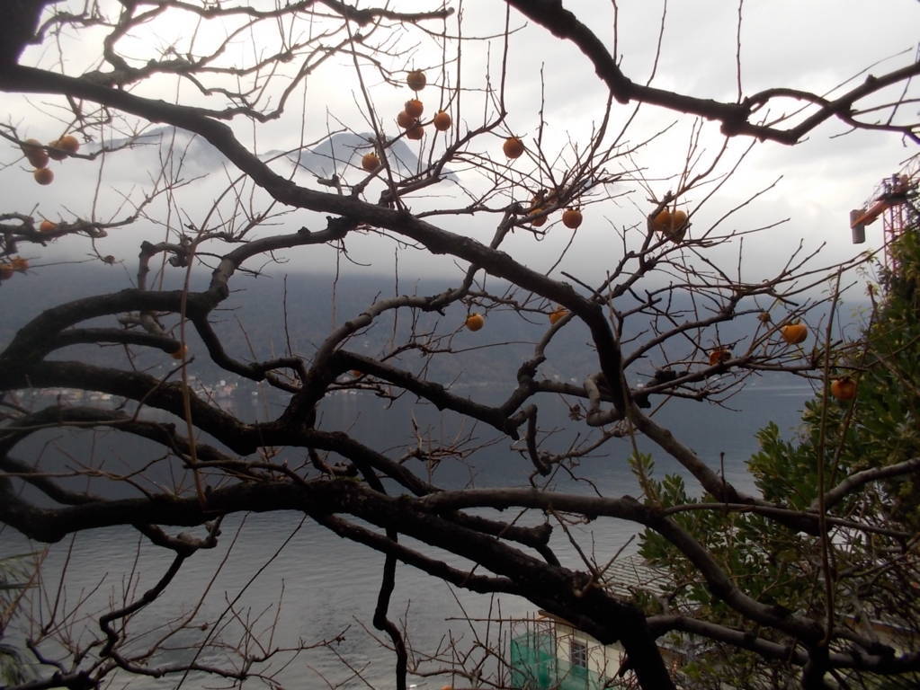 dscn5768-fileminimizer