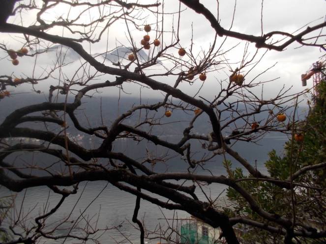 dscn5768-fileminimizer