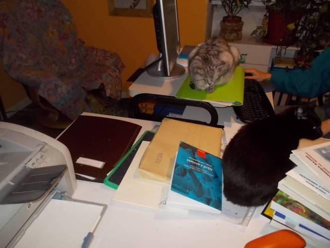 dscn5845-fileminimizer