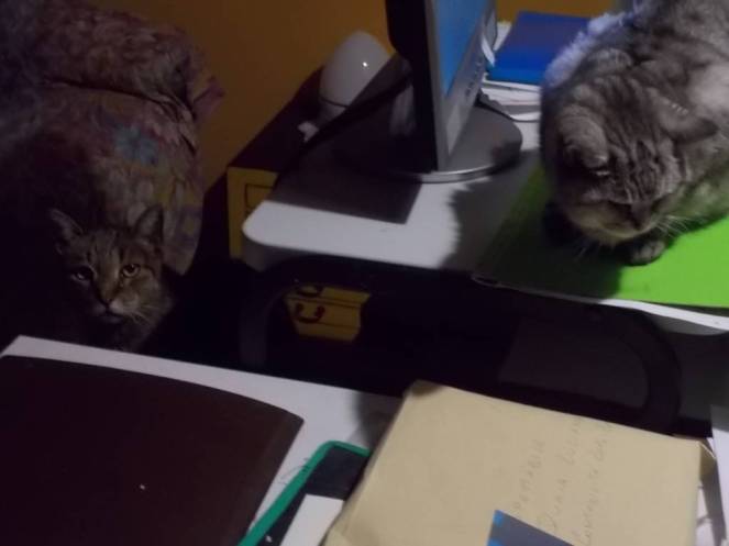 dscn5846-fileminimizer