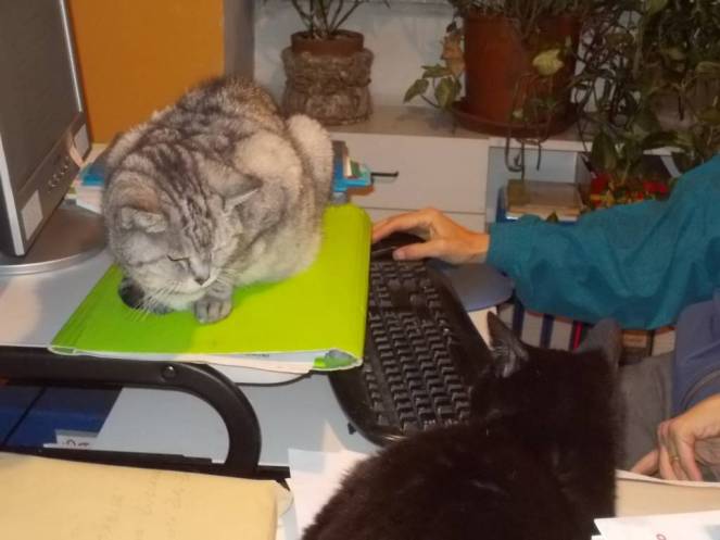 dscn5849-fileminimizer