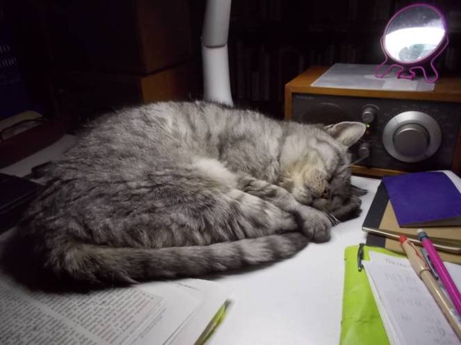 dscn5859-fileminimizer