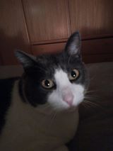 16997756_1255346791214524_1487191146009670985_n