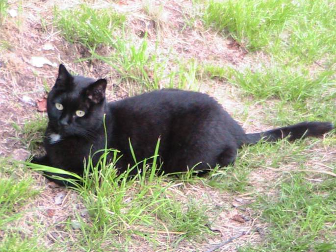 img_7752-fileminimizer