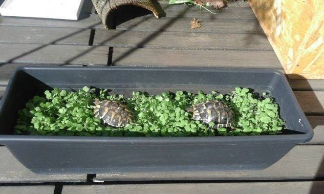 18450051_10213584457674435_309883683_n