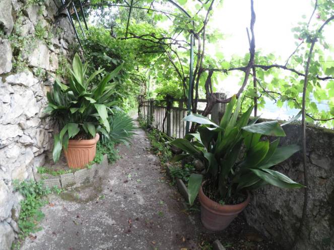 IMG_0462 (FILEminimizer)