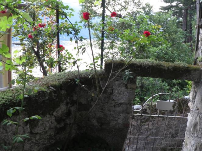 IMG_0463 (FILEminimizer)