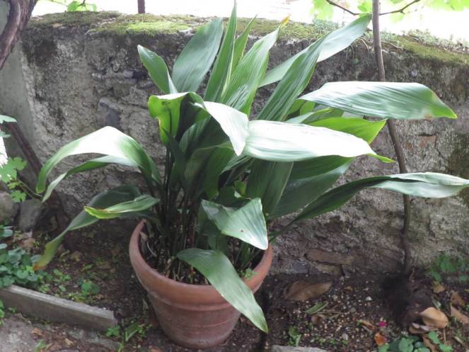 IMG_0464 (FILEminimizer)