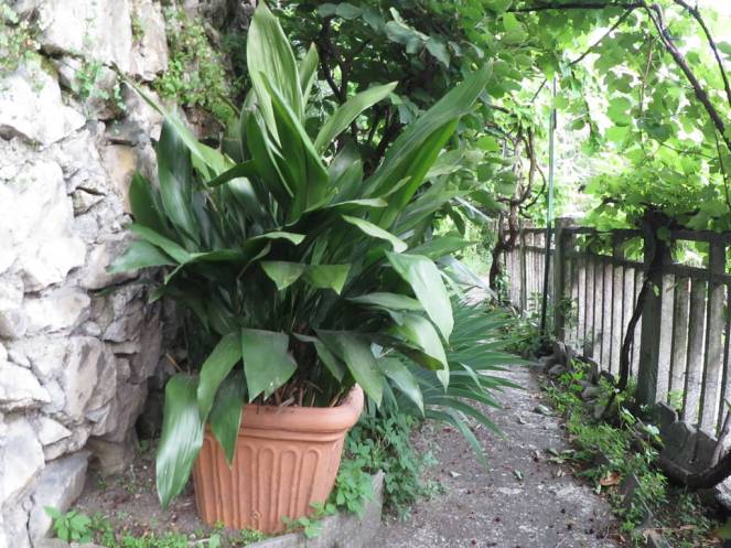 IMG_0465 (FILEminimizer)