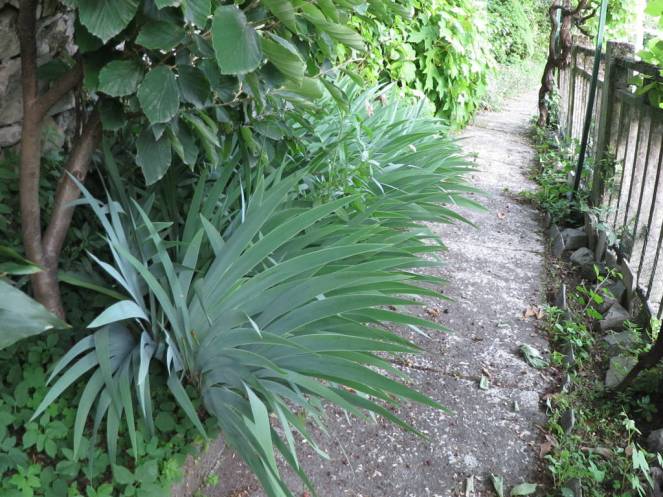 IMG_0466 (FILEminimizer)