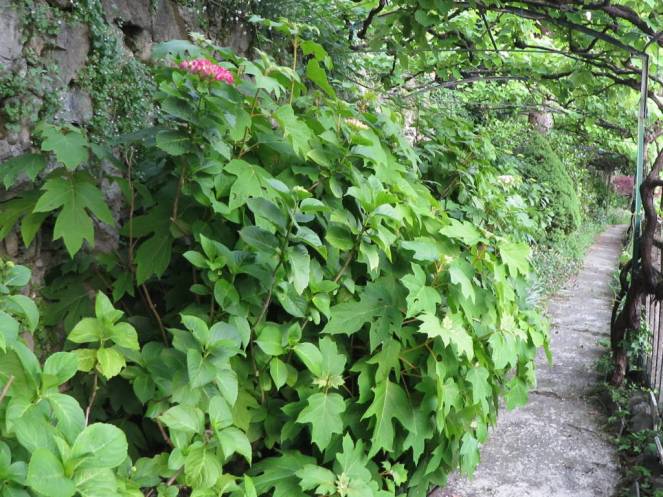 IMG_0470 (FILEminimizer)