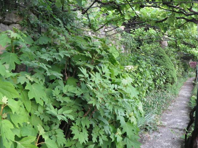 IMG_0471 (FILEminimizer)