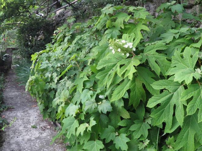 IMG_0472 (FILEminimizer)