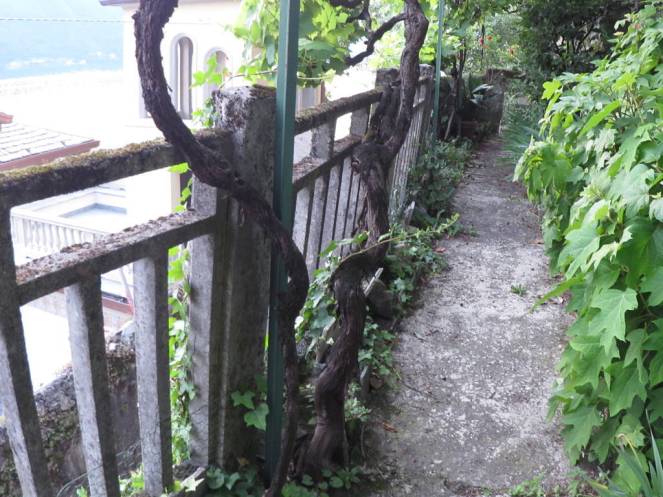 IMG_0473 (FILEminimizer)