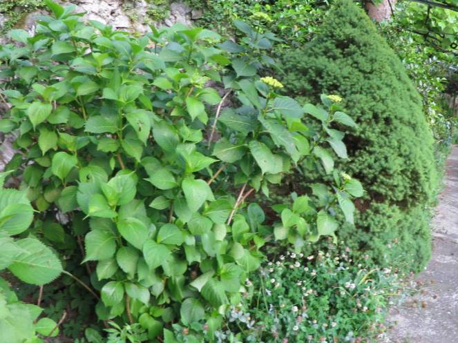 IMG_0475 (FILEminimizer)