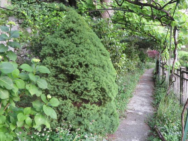 IMG_0476 (FILEminimizer)