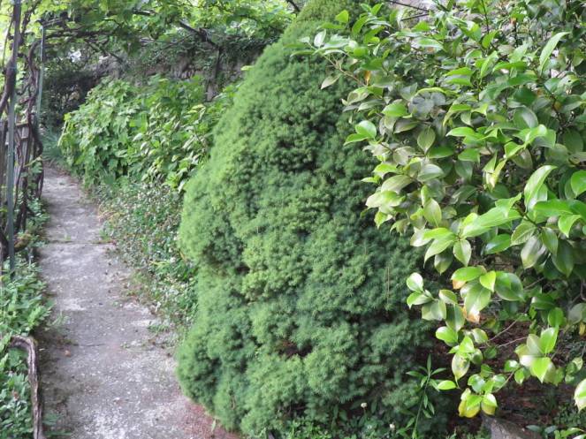 IMG_0477 (FILEminimizer)