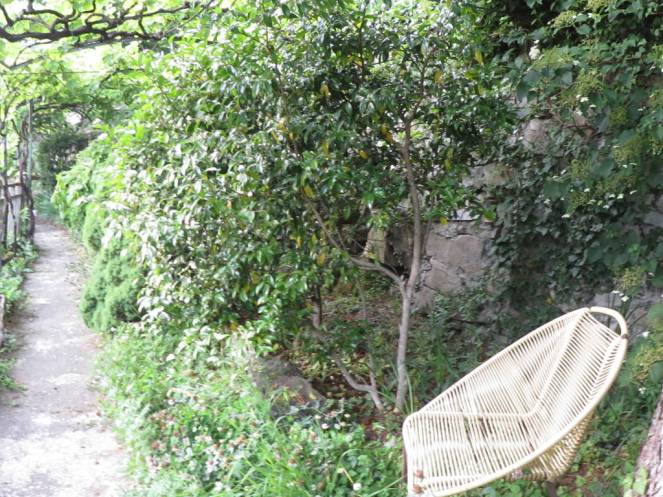 IMG_0478 (FILEminimizer)