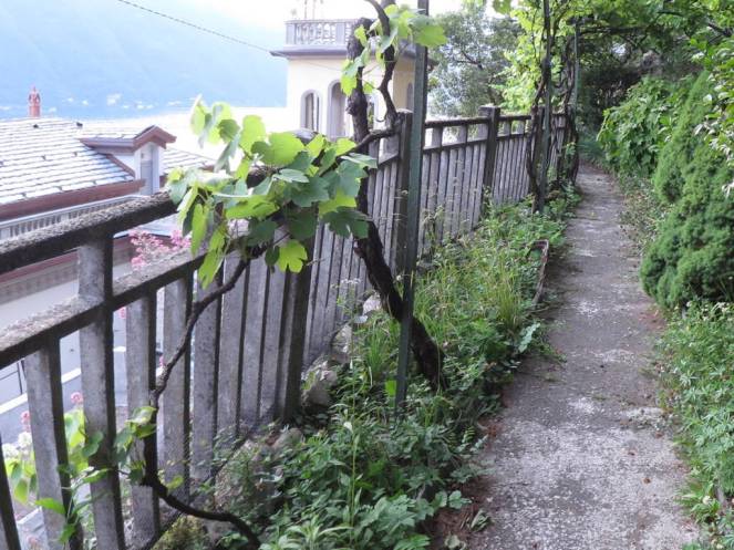 IMG_0479 (FILEminimizer)