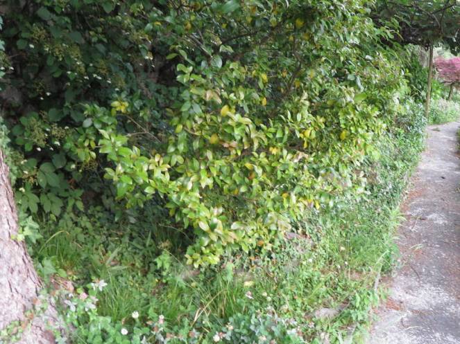 IMG_0480 (FILEminimizer)