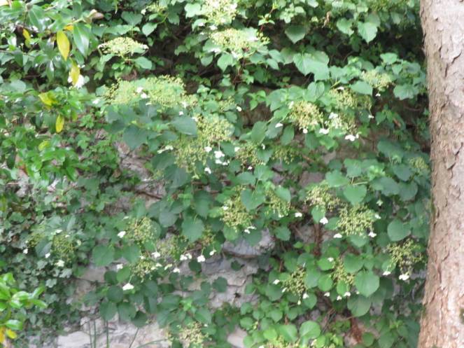 IMG_0481 (FILEminimizer)