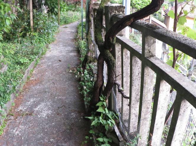 IMG_0482 (FILEminimizer)