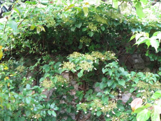 IMG_0484 (FILEminimizer)