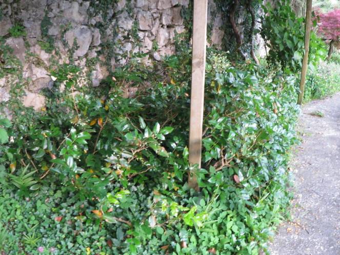 IMG_0486 (FILEminimizer)