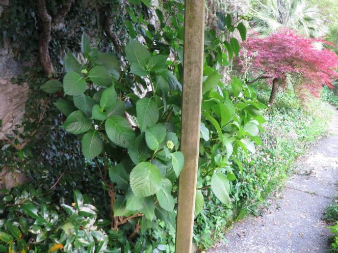 IMG_0488 (FILEminimizer)