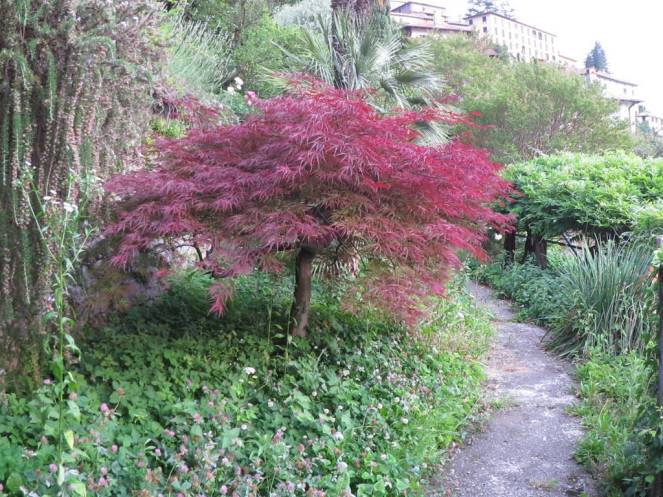 IMG_0489 (FILEminimizer)