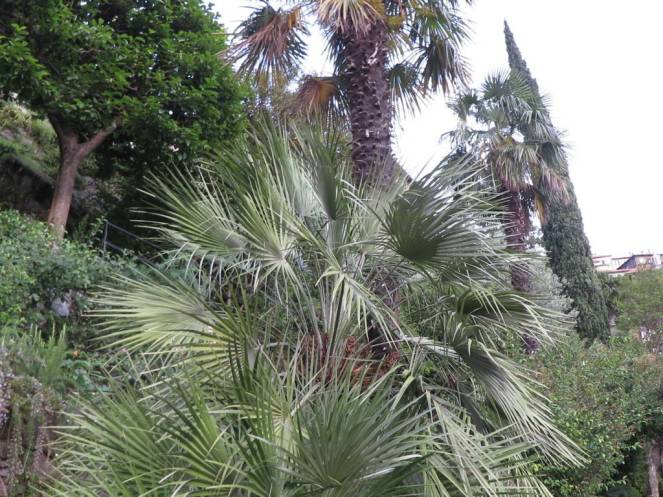 IMG_0493 (FILEminimizer)