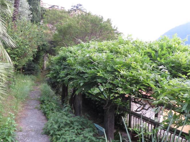 IMG_0496 (FILEminimizer)