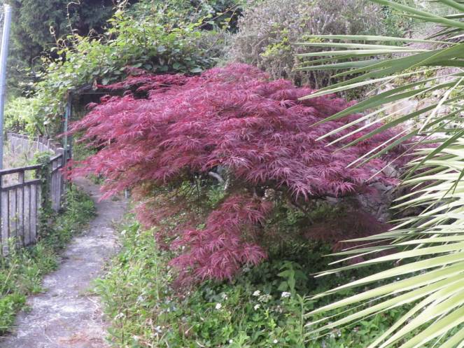 IMG_0497 (FILEminimizer)