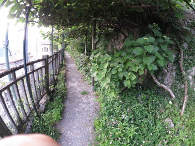 IMG_0498 (FILEminimizer)