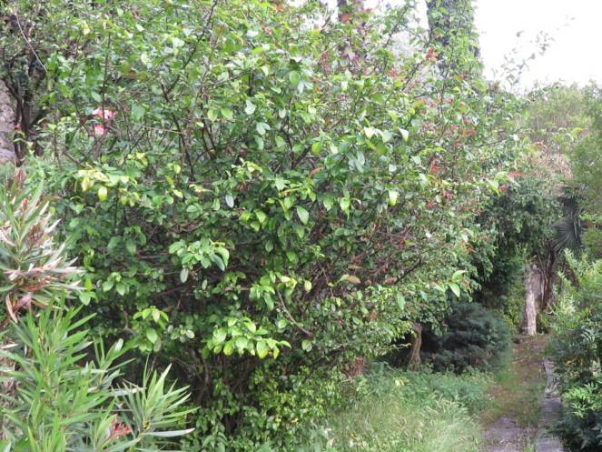 IMG_0501 (FILEminimizer)