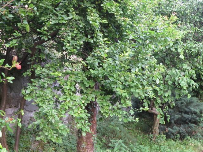 IMG_0502 (FILEminimizer)