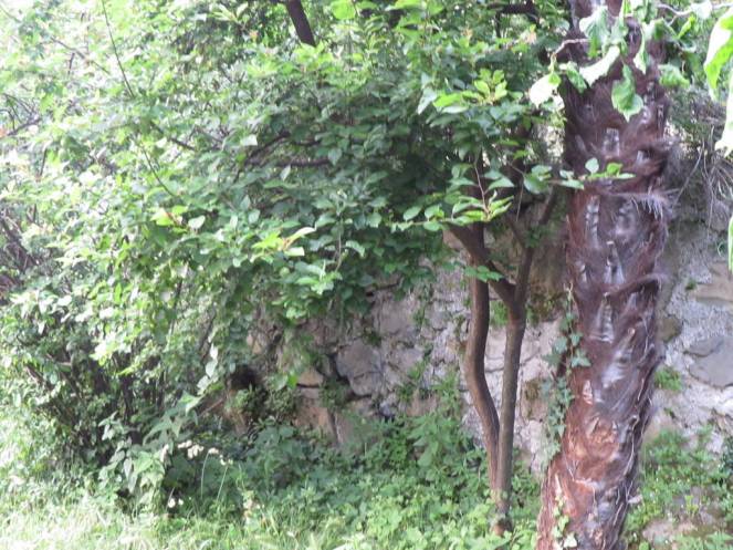 IMG_0503 (FILEminimizer)