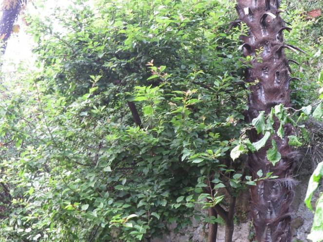 IMG_0504 (FILEminimizer)