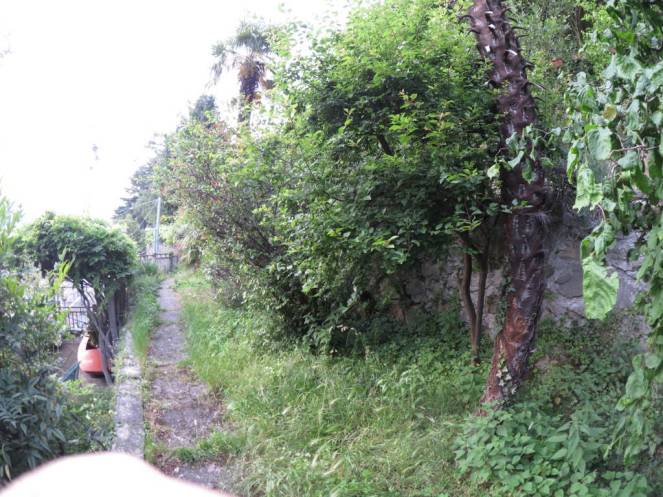 IMG_0505 (FILEminimizer)