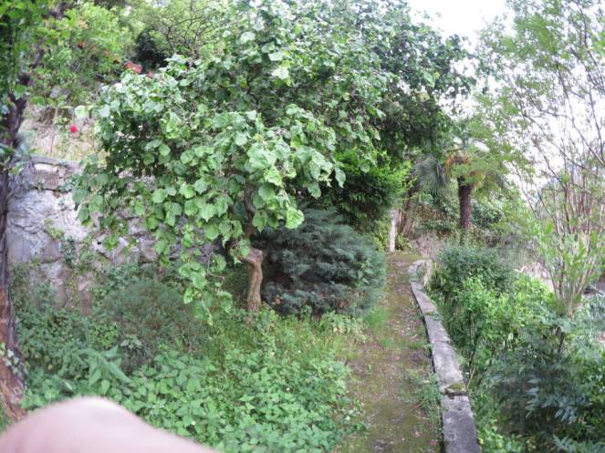 IMG_0506 (FILEminimizer)