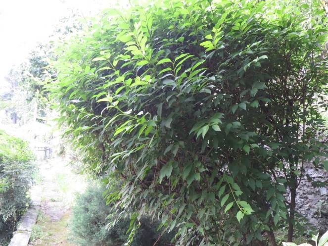 IMG_0510 (FILEminimizer)