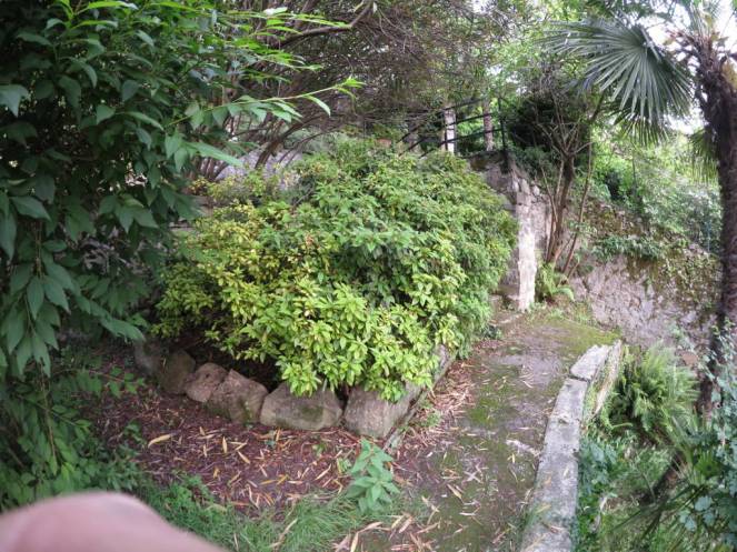 IMG_0512 (FILEminimizer)