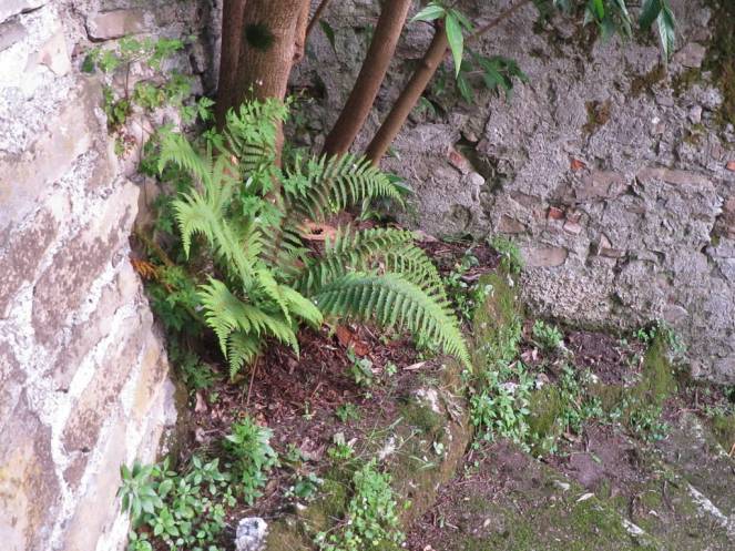 IMG_0515 (FILEminimizer)